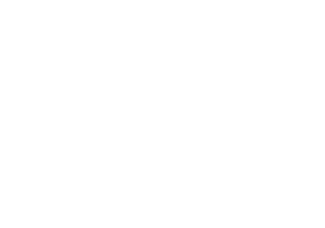 Bar Aladin — Caffè Pizza Rosticceria